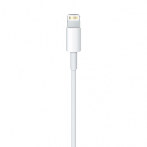 Кабель Lightning/USB (1м)